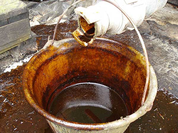 Molasses