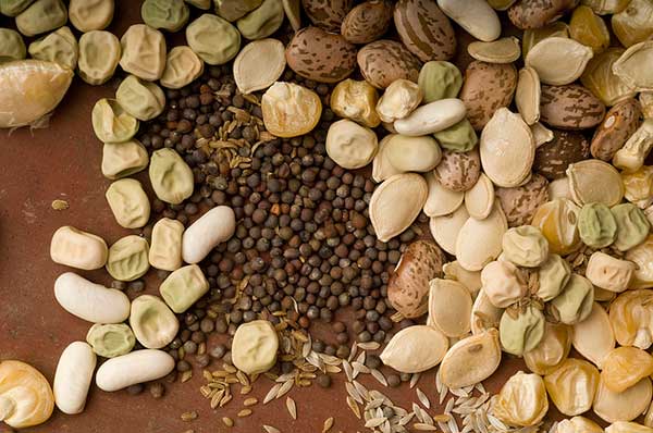 Save Seeds