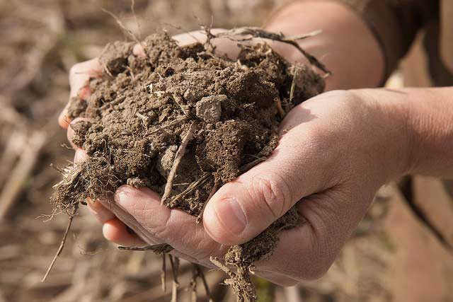 Soil Booster