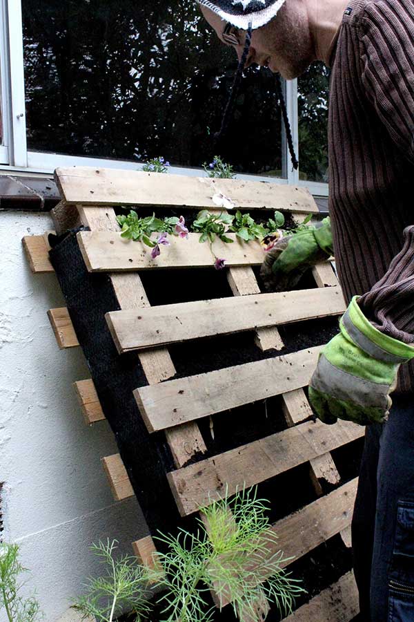 Pallet Garden