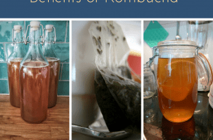 Benefits of Kombucha and How to Make It