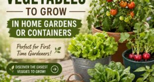 The 12 Easiest Vegetables to Grow in Home Gardens