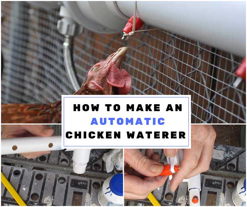 Making an Automatic Chicken Waterer