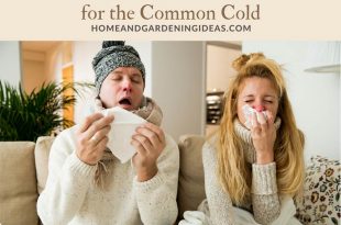 8 Old Fashioned Home Remedies for the Common Cold