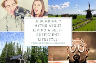 Debunking 7 Myths about Living a Self-Sufficient Lifestyle