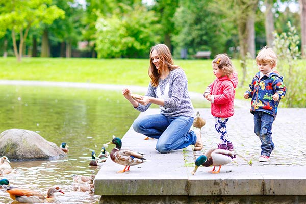 Feed the Ducks at a Local Pond