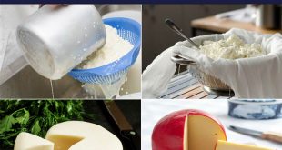 Making Colby Cheese at Home