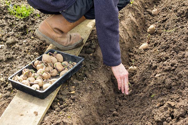 Trench Method