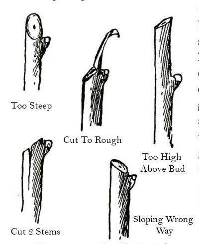 Remember to Cut at 45-Degree Angle