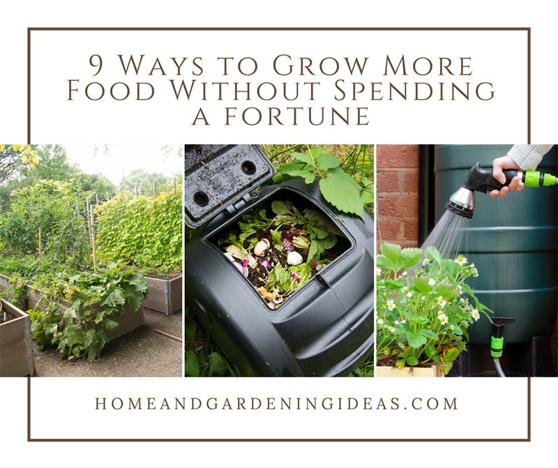 9 Ways to Grow More Food Without Spending a fortune