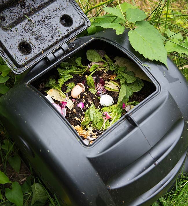 Start a Compost