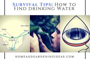 Survival Tips: How to Find drinking Water