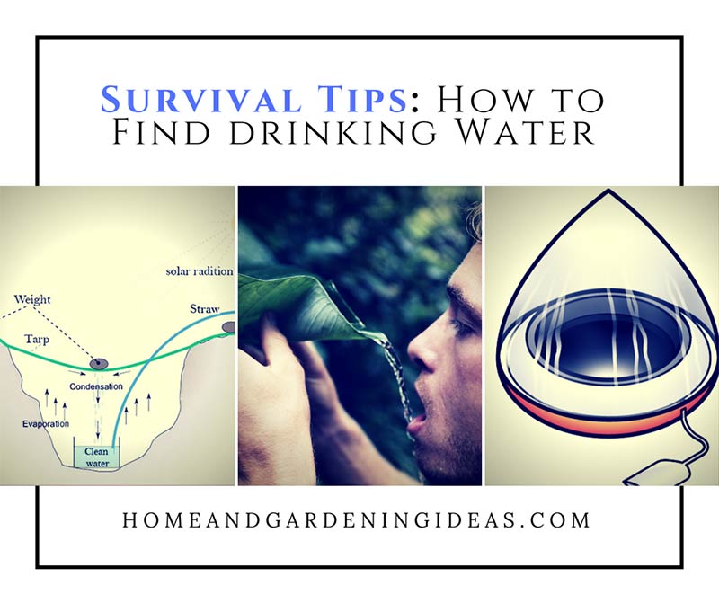 Survival Tips: How to Find drinking Water