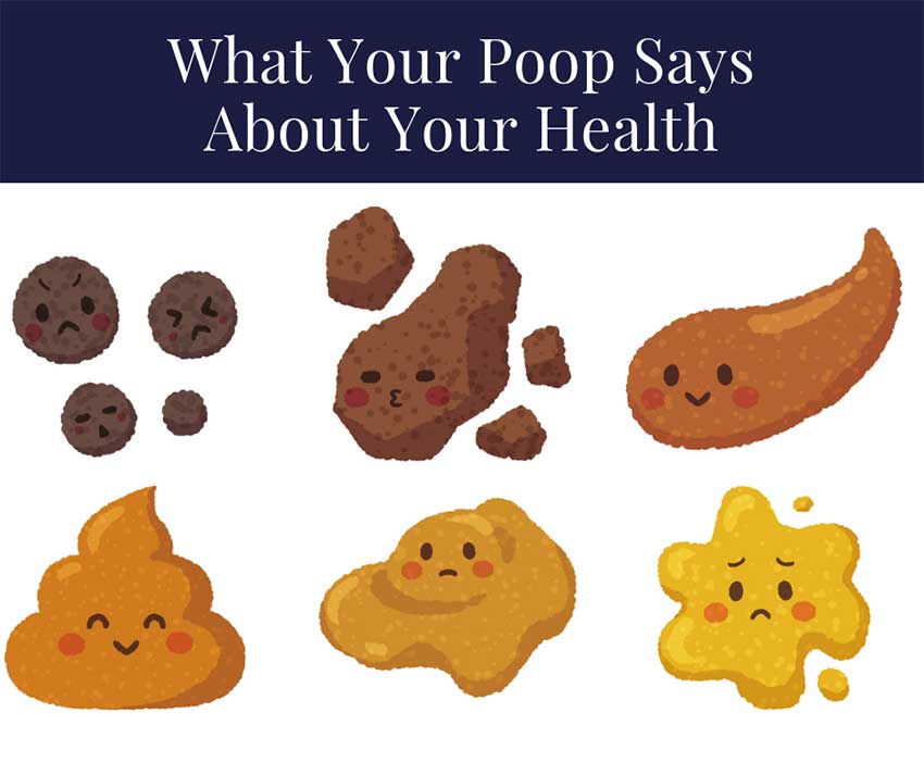 What Your Poop Means about Your Health - Home and Gardening Ideas