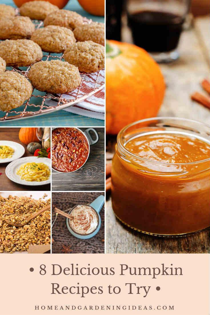 8 Delicious Pumpkin Recipes to Try