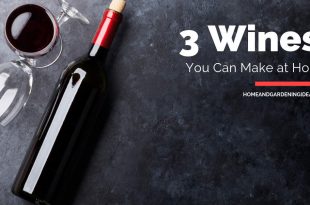 3 Wines You Can Make at Home