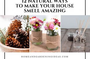 Natural Ways To Make Your House Smell Amazing