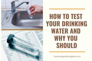 When and How to Test Your Water