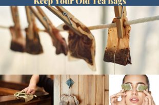 16 Genius Reasons To Keep Your Old Tea Bags