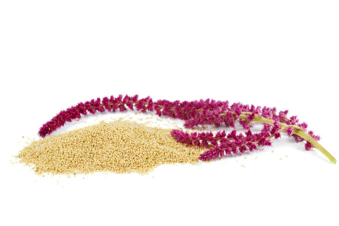 Amaranth