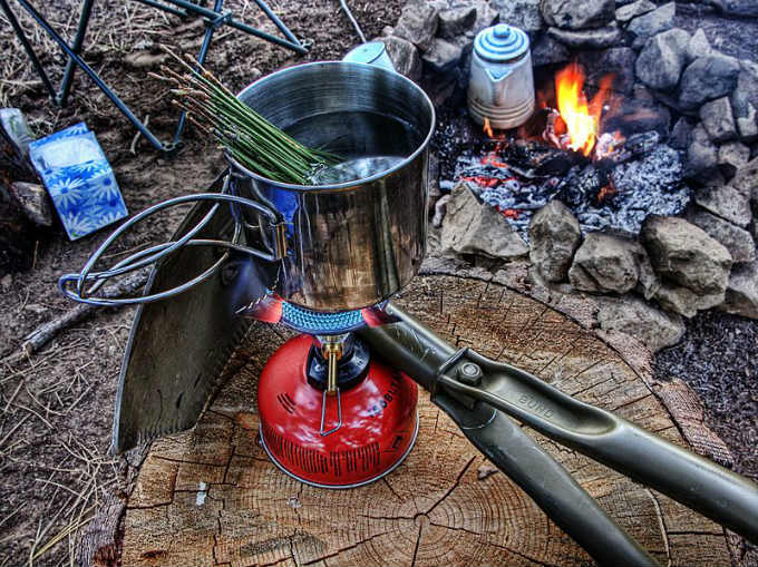 pine needles into a pot and bring it slowly to a rolling boil.