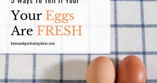 5 Ways To Tell If Your Eggs are Fresh