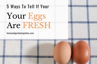 5 Ways To Tell If Your Eggs are Fresh