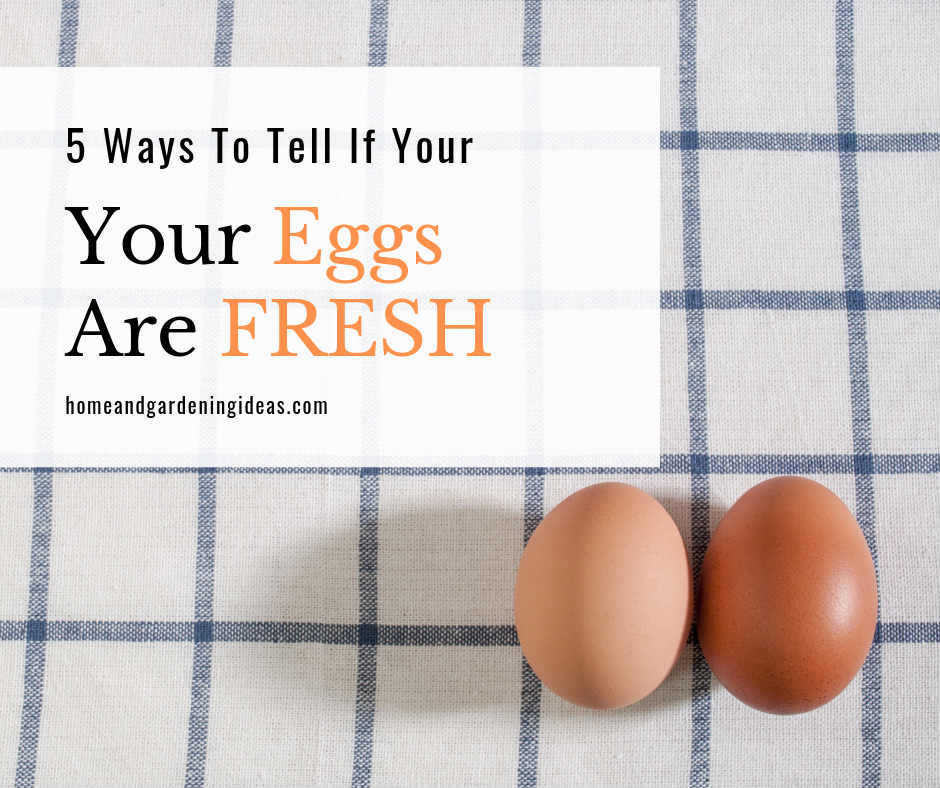 5 Ways To Tell If Your Eggs are Fresh