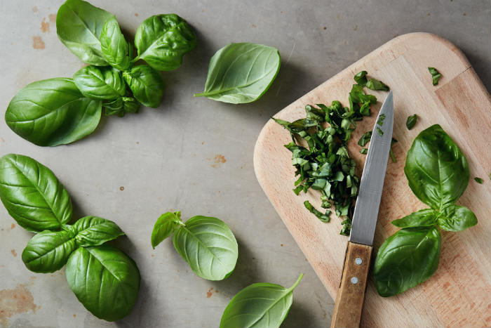 Basil Bug Spray