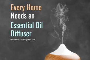 Every Home Needs an Essential Oil Diffuser
