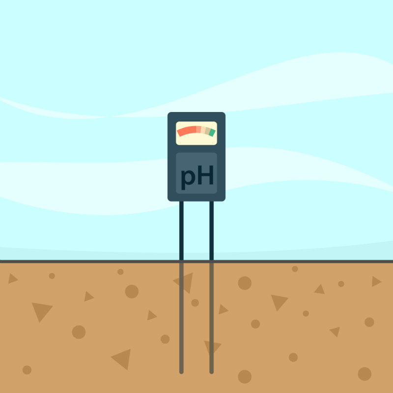 Know Your PH Level
