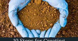 Steps for Creating Better Garden Soil