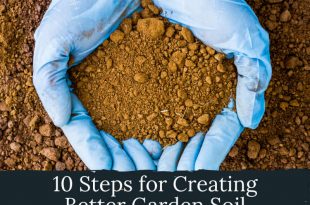 Steps for Creating Better Garden Soil
