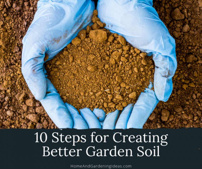 10 Steps for Creating Better Garden Soil Home and Gardening Ideas
