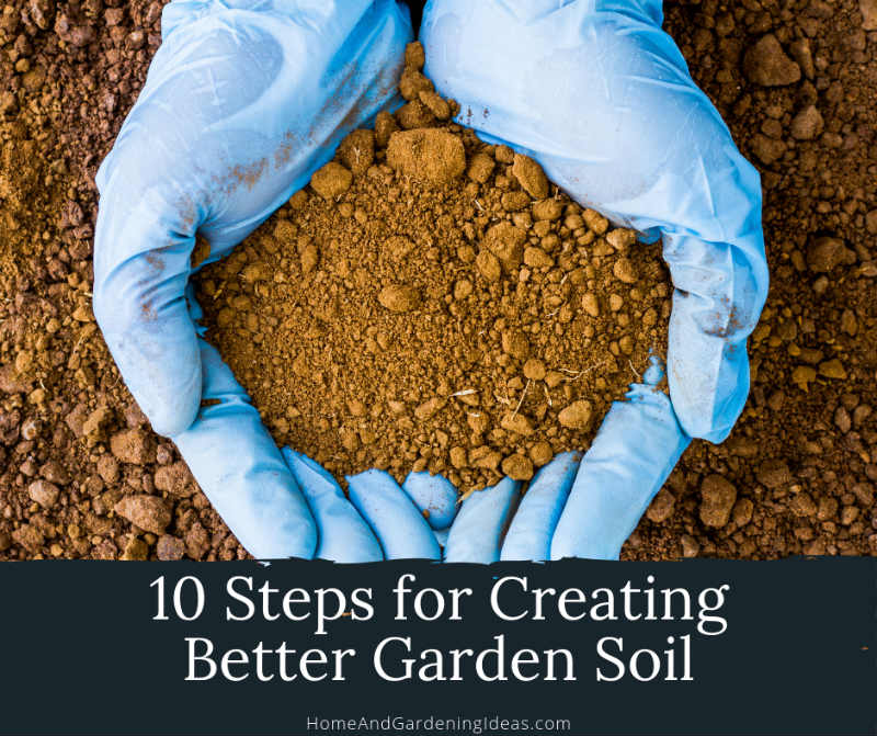 Steps for Creating Better Garden Soil
