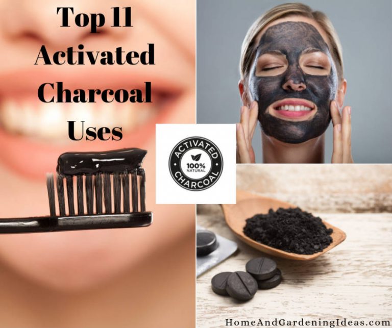 What Is Activated Charcoal And how To Use It Home and Gardening Ideas