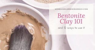 Bentonite Clay 101
