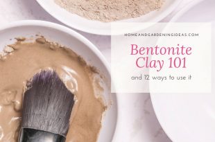 Bentonite Clay 101