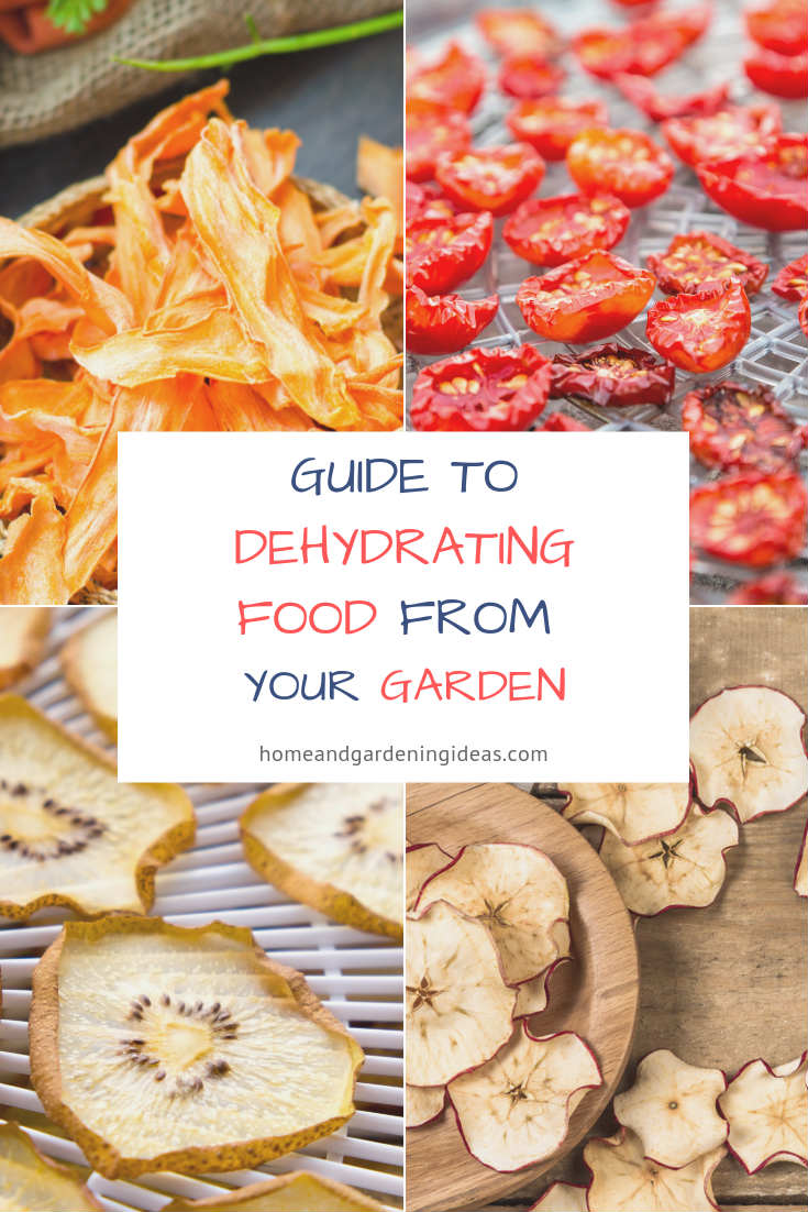 Guide to Dehydrating Food From Your Garden