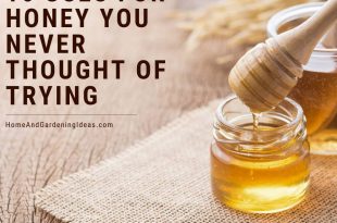 16 Uses for Honey You Never Thought Of Trying