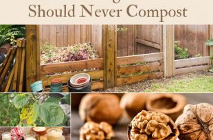 18 Things You Should Never Compost 
