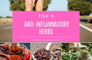 Anti-Inflammatory Herbs