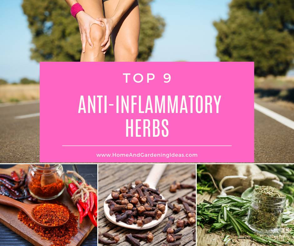 Anti-Inflammatory Herbs