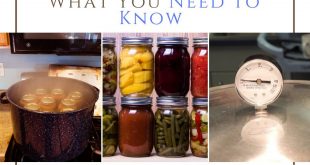Guide to Canning