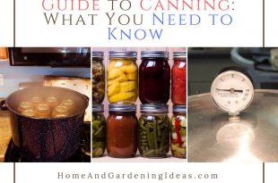 Guide to Canning