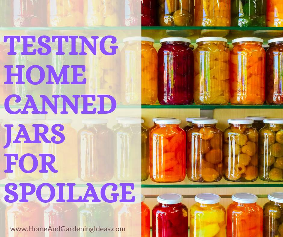Testing Home Canned Jars for Spoilage