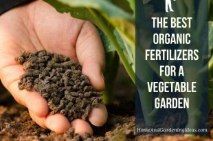 The Best Organic Fertilizers For a Vegetable Garden