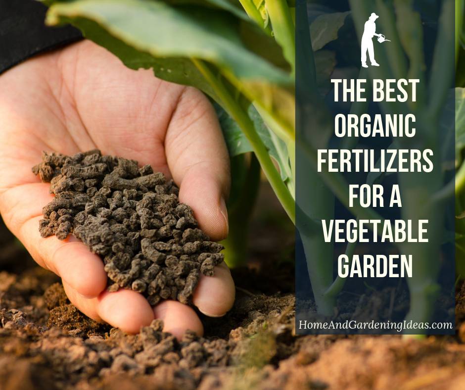 A variety of organic fertilizers for vegetable gardens on display