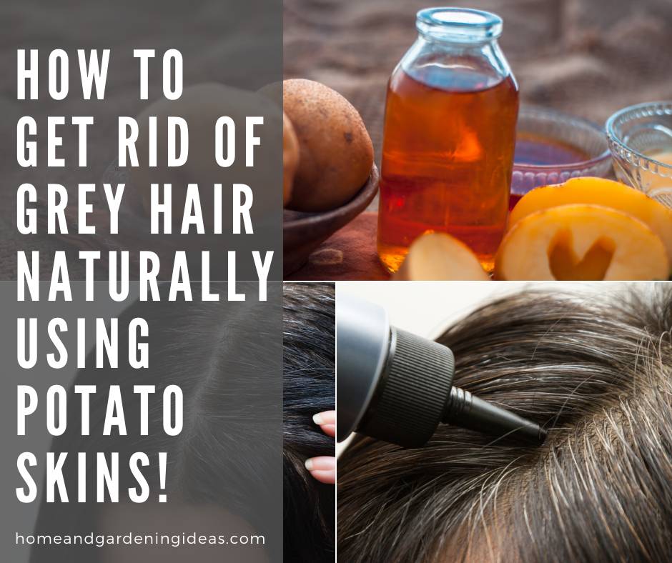 How To Get Rid Of Grey Hair Naturally Using Potato Skins!