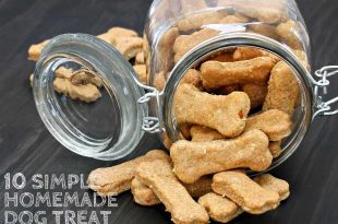 Homemade Dog Treat Recipes